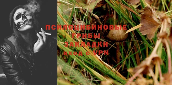 2c-b Ладушкин
