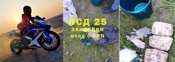 прущие грибы Липки