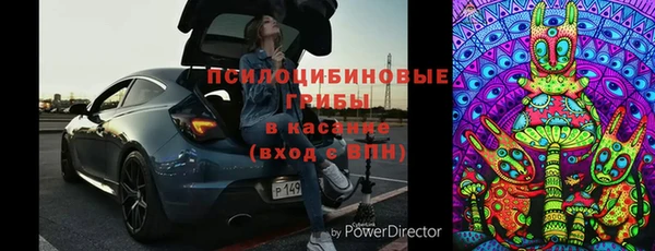 винт Лабытнанги