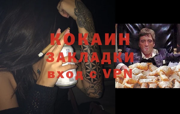 прущие грибы Липки