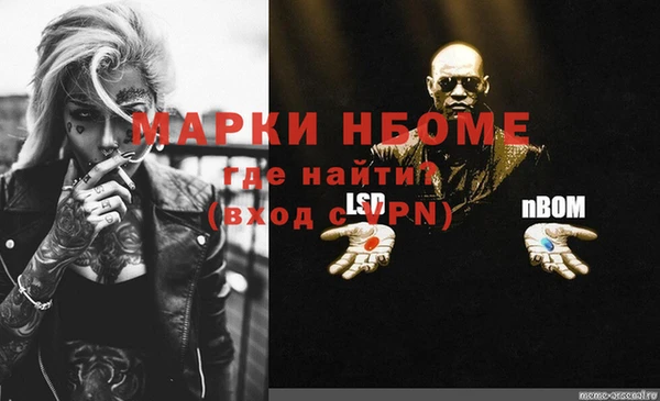 прущие грибы Липки