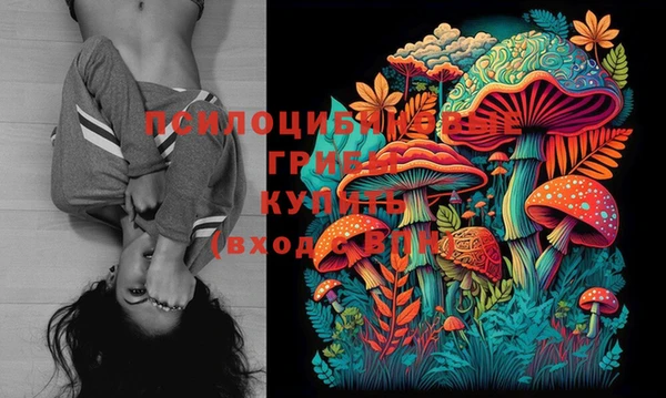 винт Лабытнанги