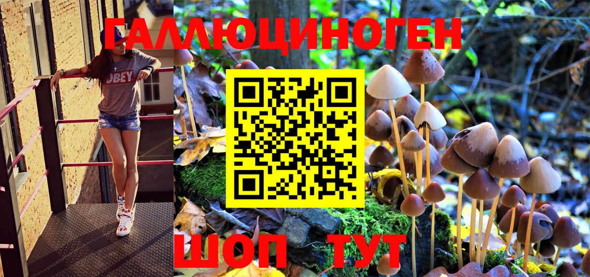 Псилоцибиновые грибы мухоморы Мелеуз